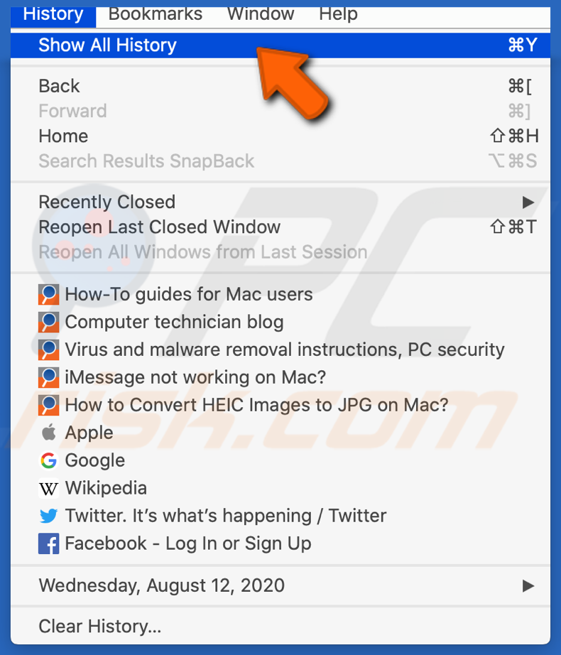 Access safari browser history in menu tab