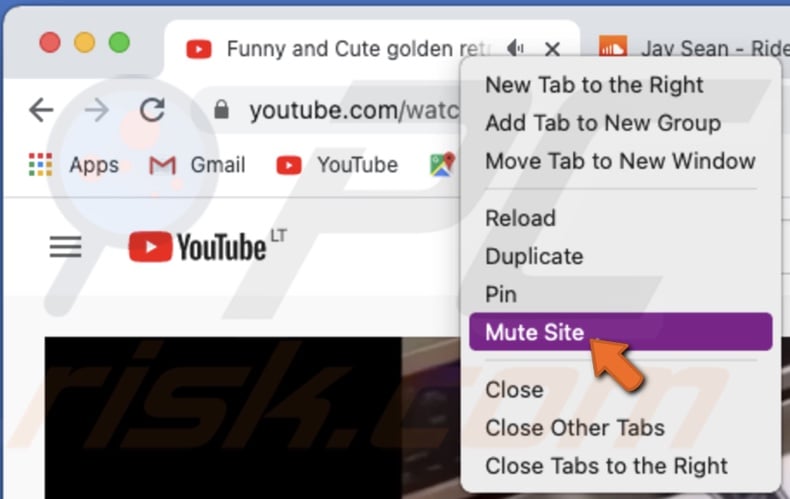 Mute site in Chrome
