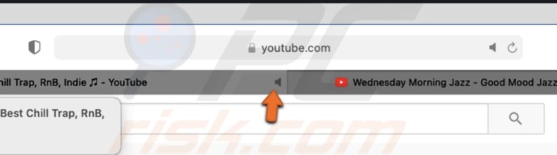 Mute tab in Safari