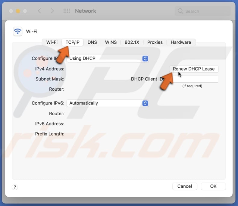 Click on renew DHCP lease