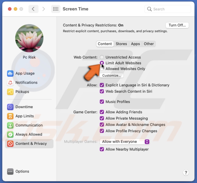 Limit Adult Websites