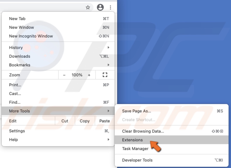 Go to Extensions in Chrome