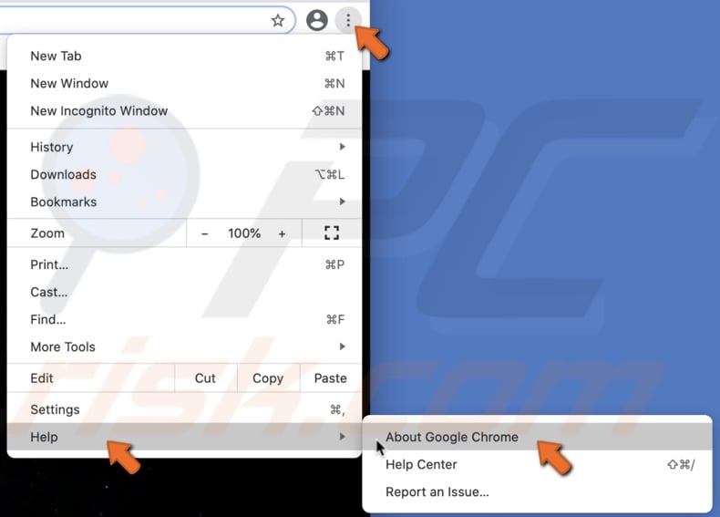 Go to About Google Chrome
