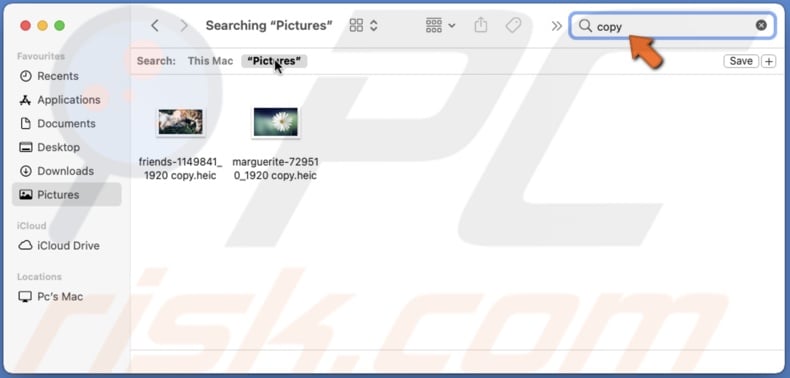 In the Photos folder, search Copy or Version