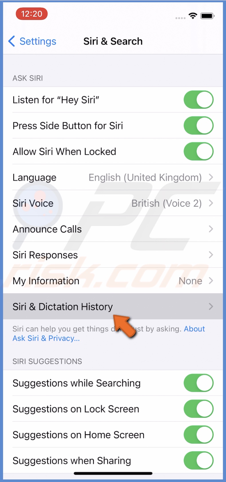 Tap on Siri & Dictation History