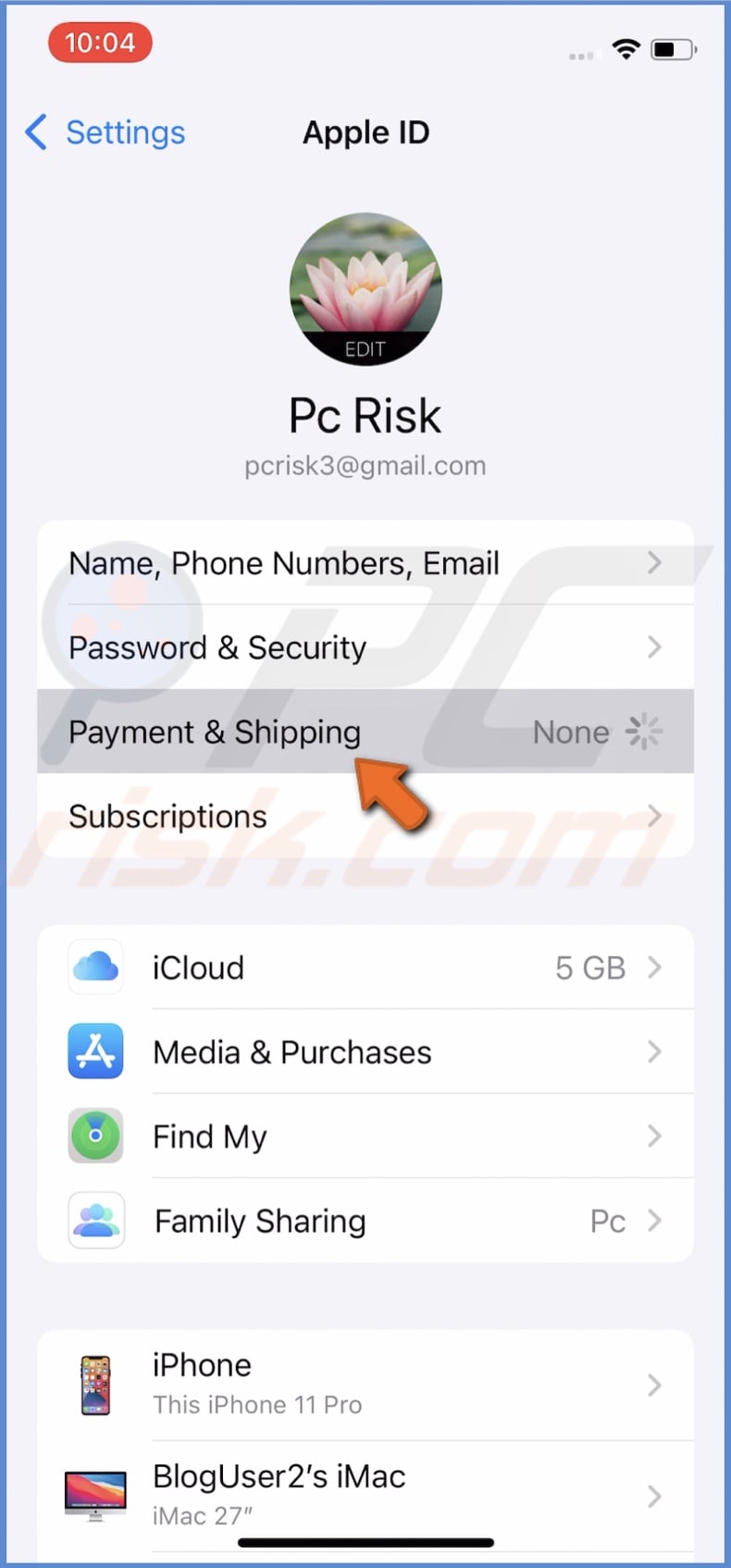 Go to Payment and Shipping