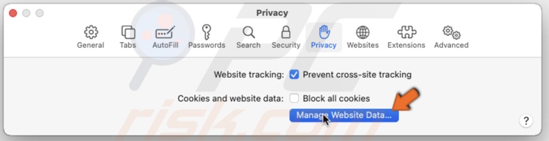 Manage Safari Website data