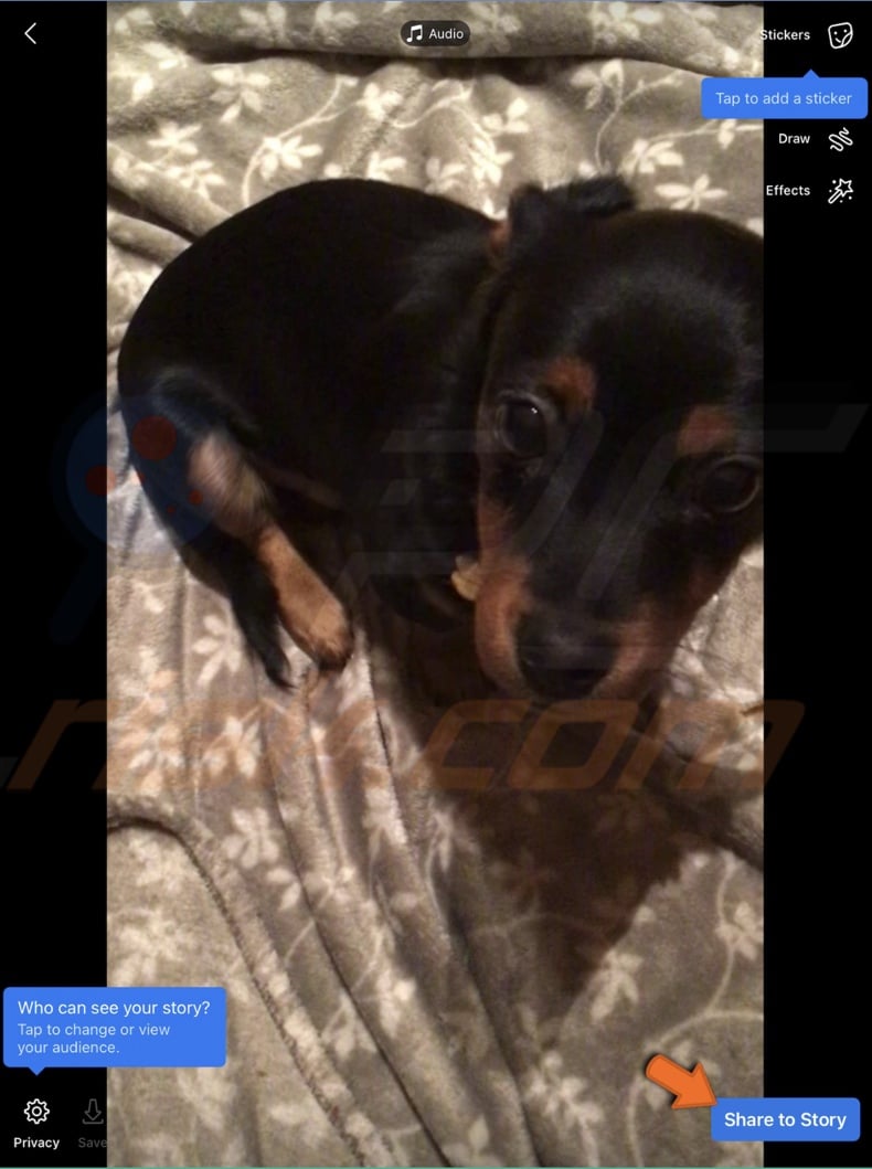 Share to Story facebook