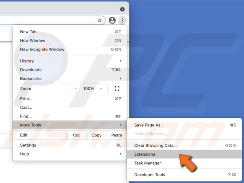 Go to Extensions in Chrome