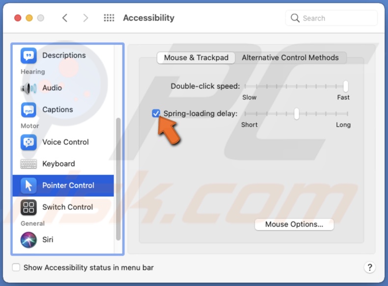 Enable Spring-loading delay