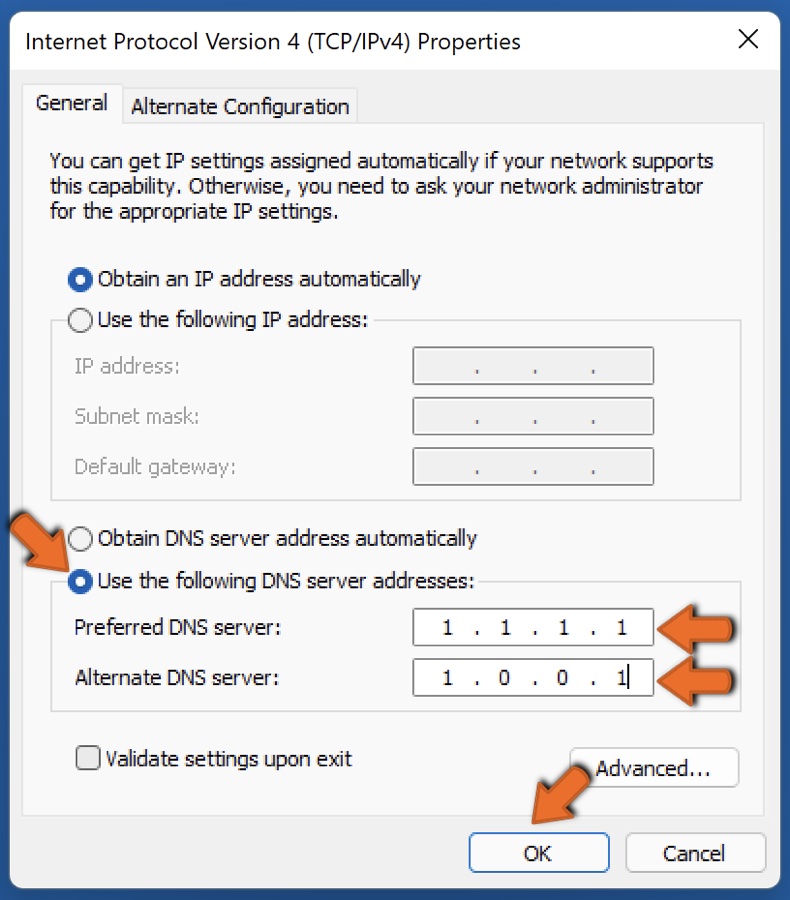 Enter preferred and alternate DNS server addresses