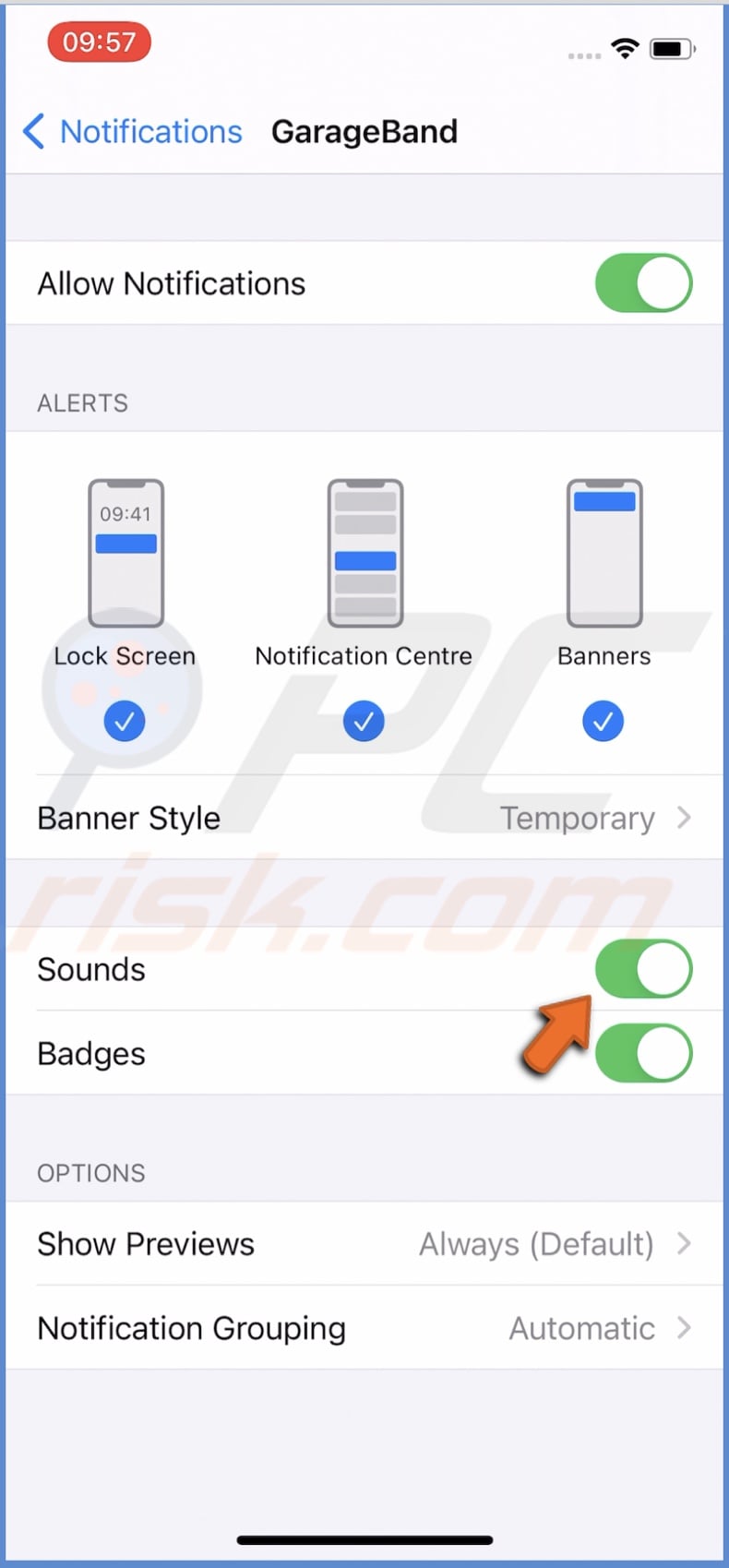 Allow sounds on the app
