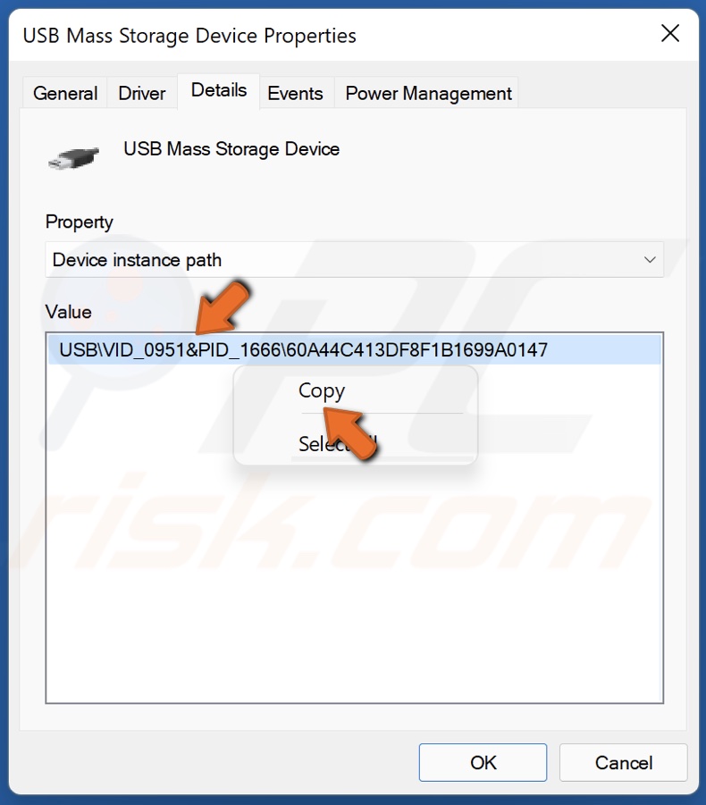 Right-click the value and click Copy