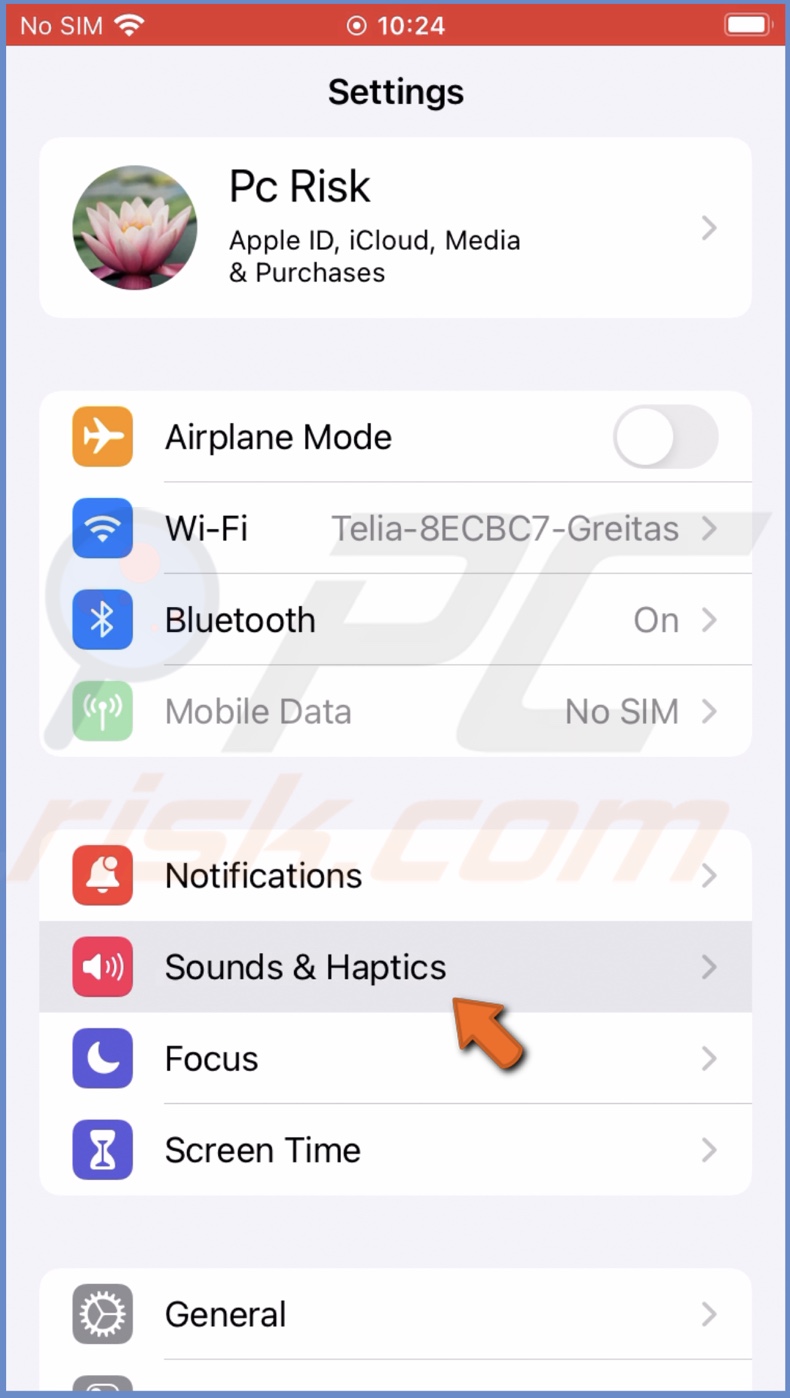 Go to Sound and Haptics