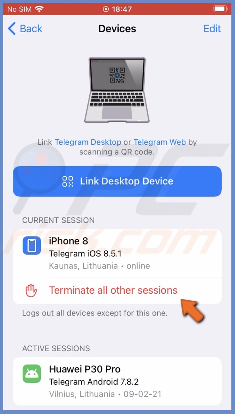 Terminate other Telegram sessions