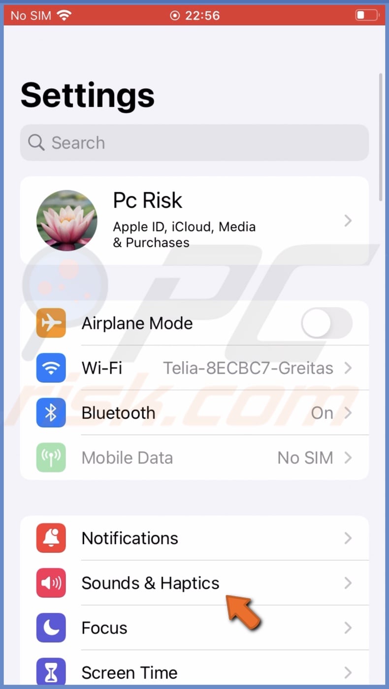 Go to Sounds & Haptics