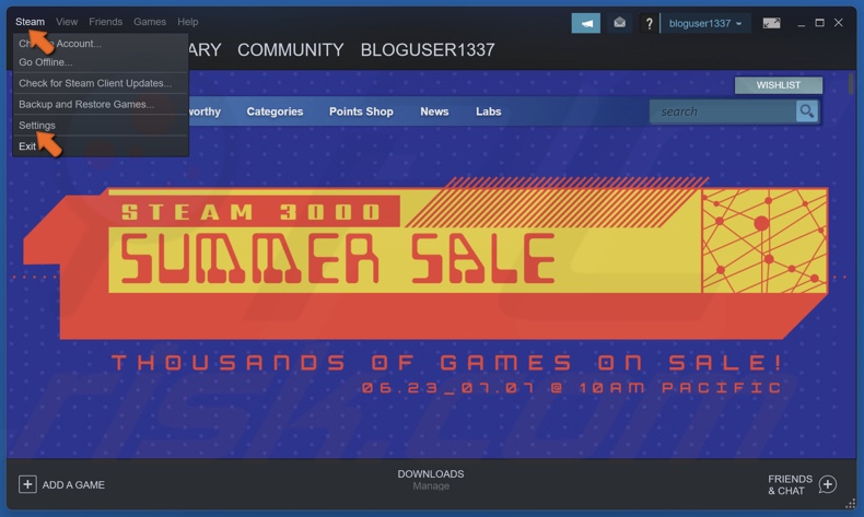 Open the Steam menu and click Settings
