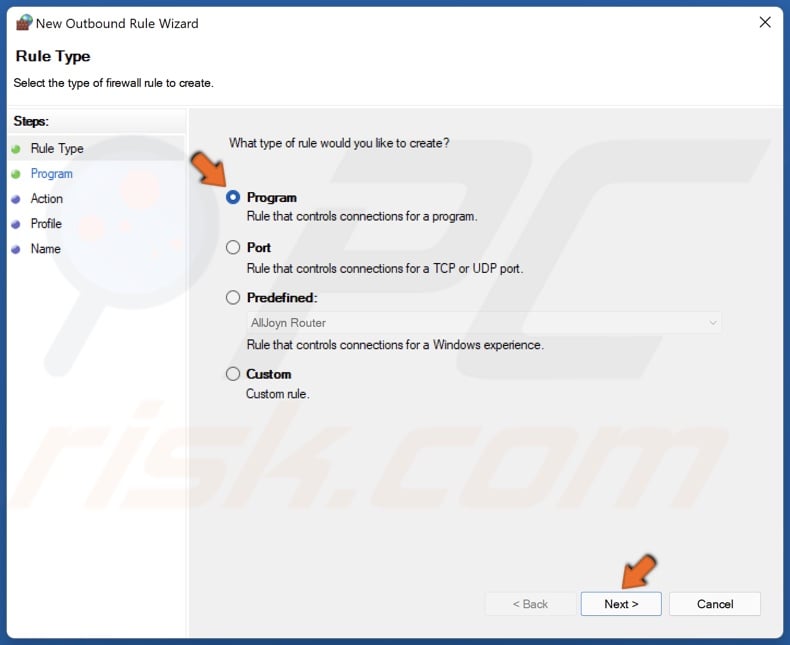Select Program and click Next