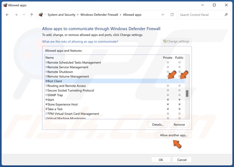 Mark Private and Public checkboxes for Riot Client and click Allow another app