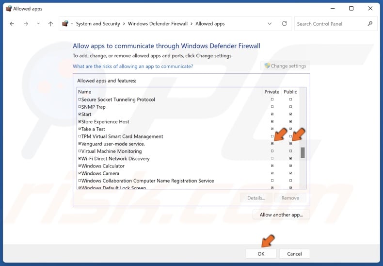 Mark Public and Private checkboxes for Vanguard user-mode service