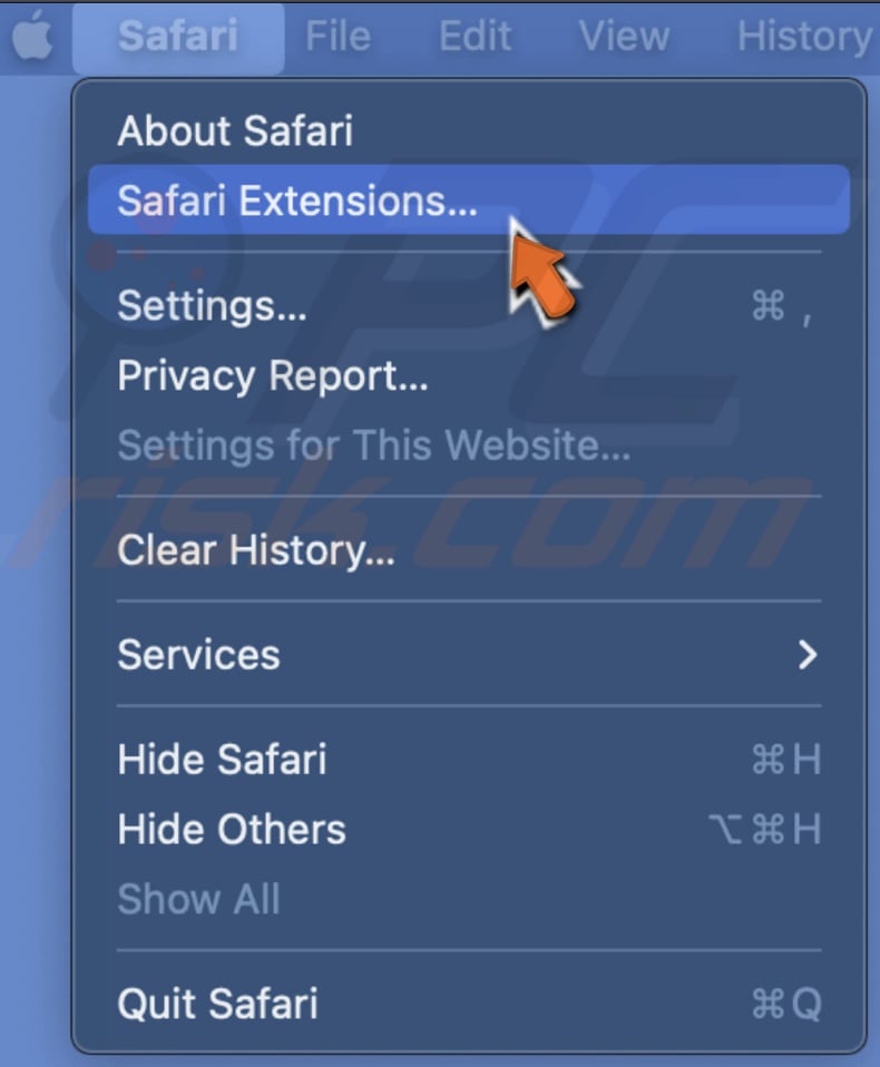 Go to Safari Extensions