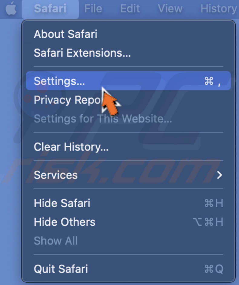 Go to Safari Settings