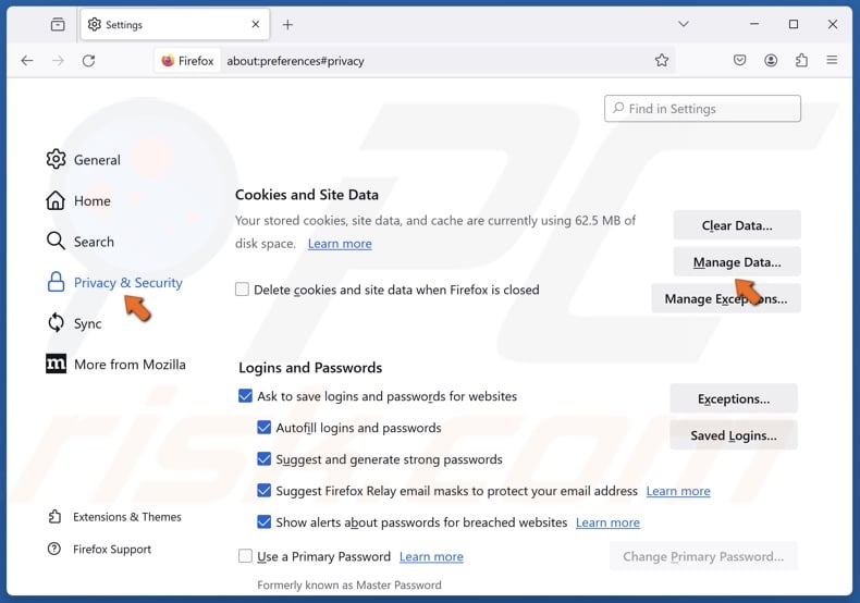 Select the Privacy & Security panel
