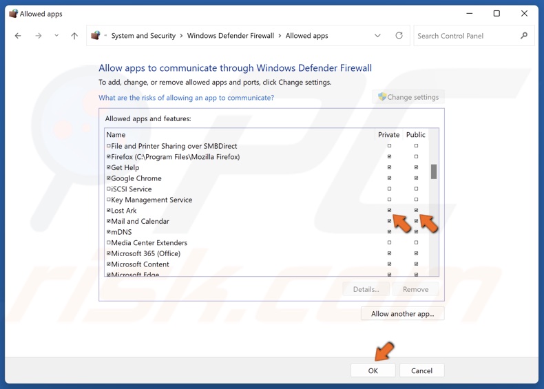 Mark the Private and Public checkboxes next to Lost Ark and click OK