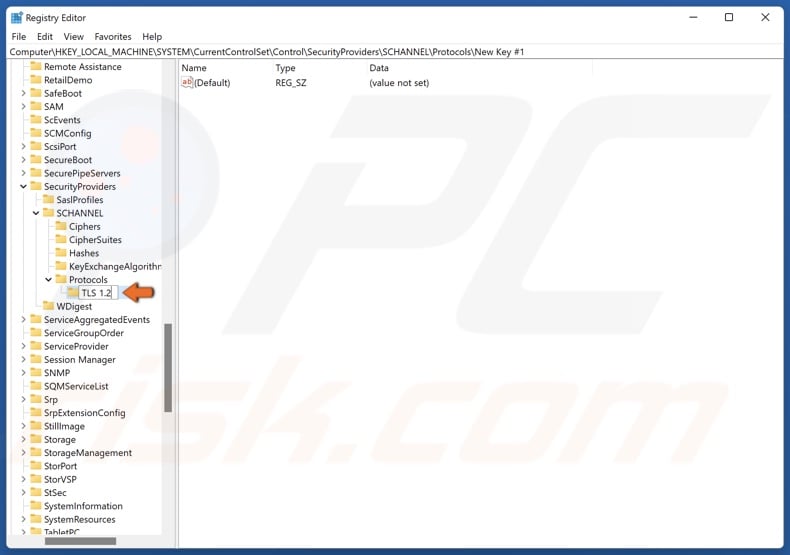 Name the new key TLS 1.2 and save it