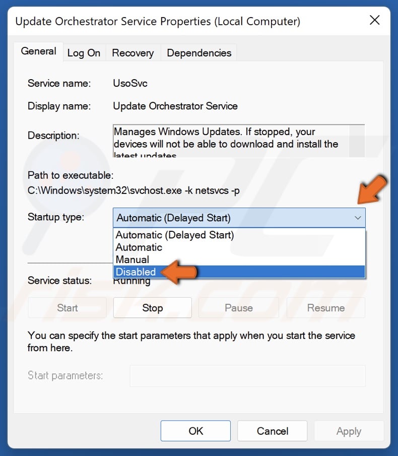 Open the Startup type drop-down menu and select Disabled