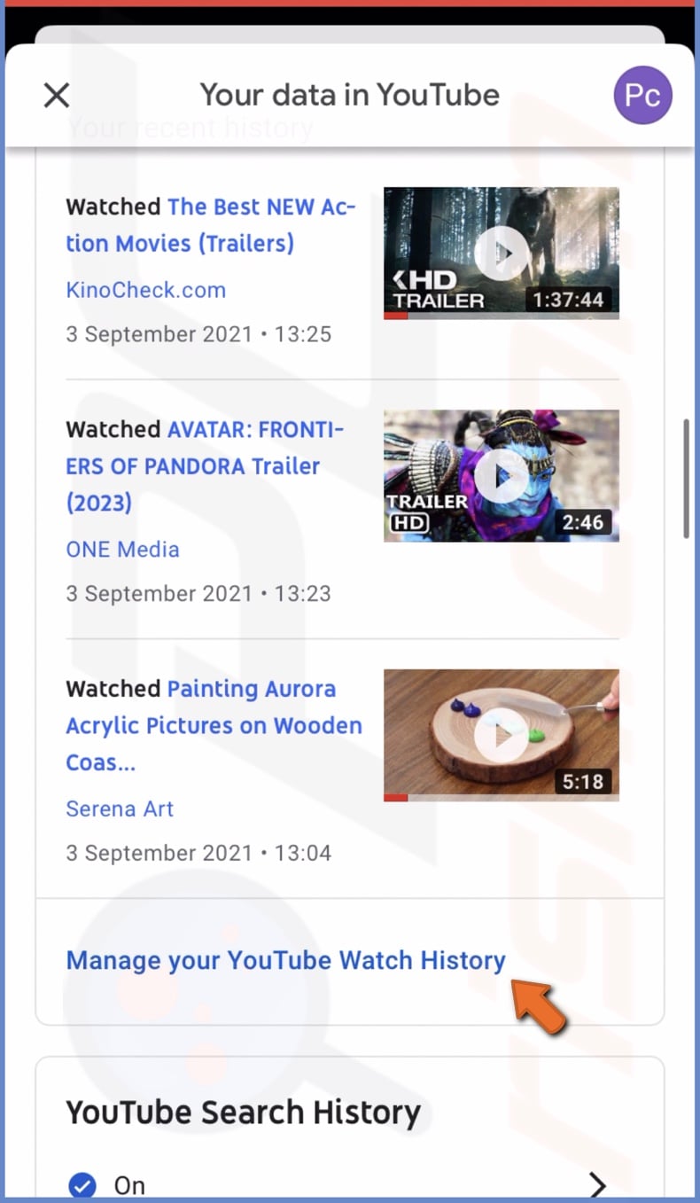 Manage your YouTube Watch History