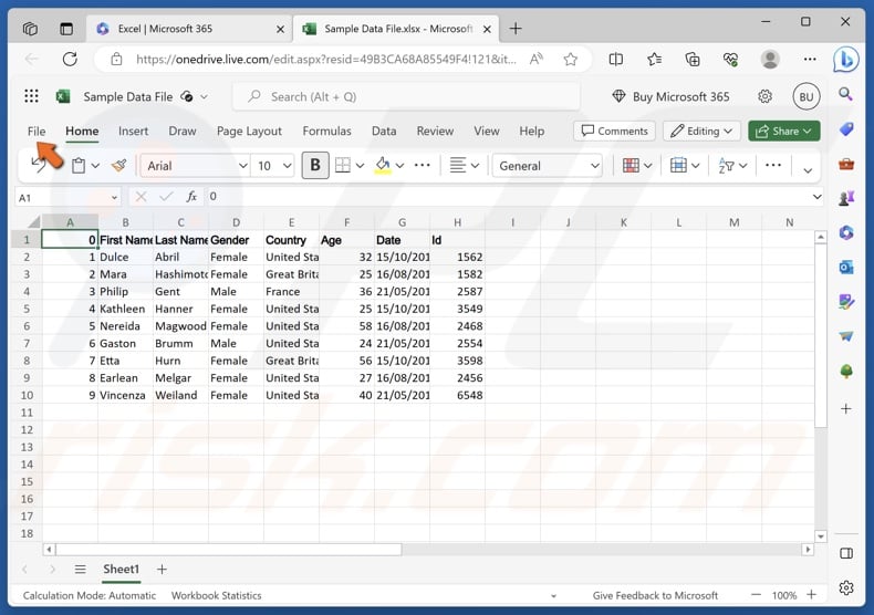 Click File in the Excel web app