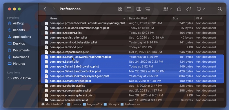 Delete Safari preferences