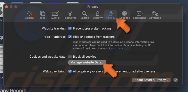 Click on Manage Website Data