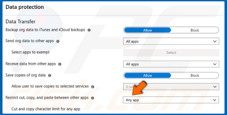 open-restrict-cut-copy-and-paste-between-other-apps-and-select-any-app