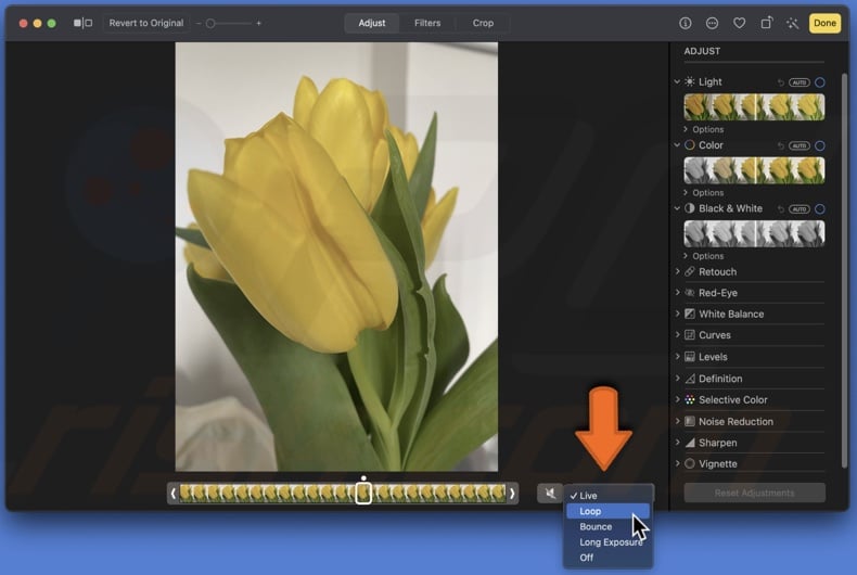 Add effect on the Live Photo