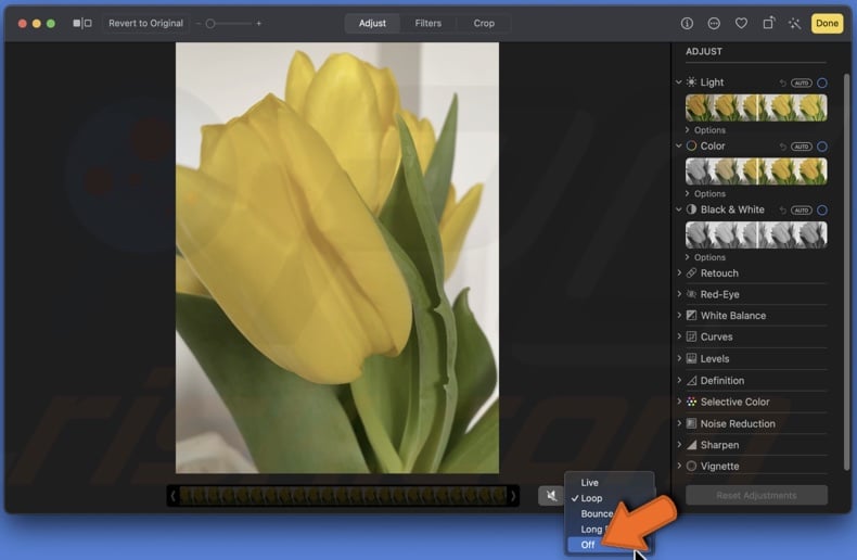Convert Live Photo to still image on Mac