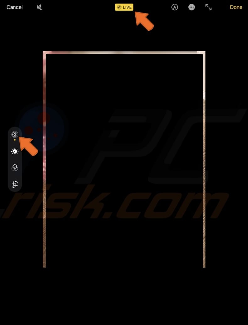 Revert image to Live Photo on iPad