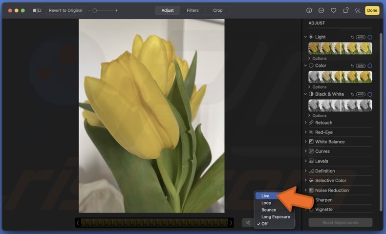Revert image to Live Photo on Mac