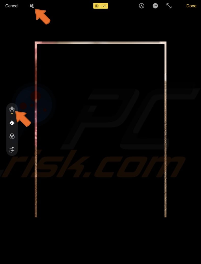 Mute Live Photo sound