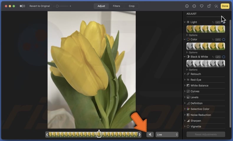 Mute the sound of the Live Photo