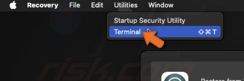 Open Terminal