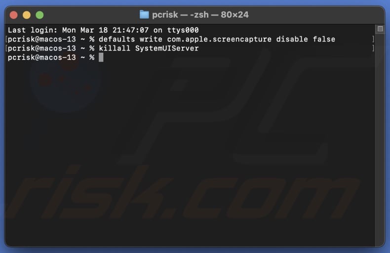 Enter Terminal commands