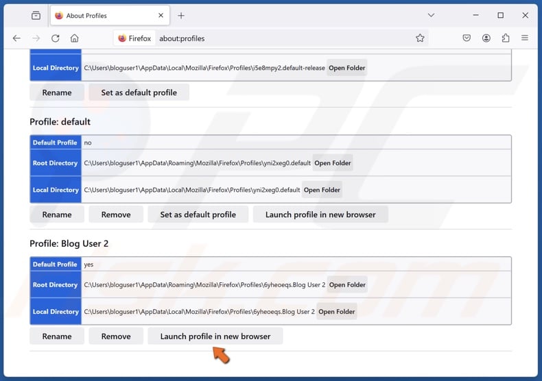 Click Launch profile in new browser