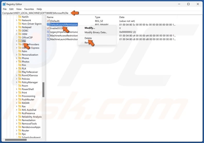 Select the Ole key and delete the values listed below