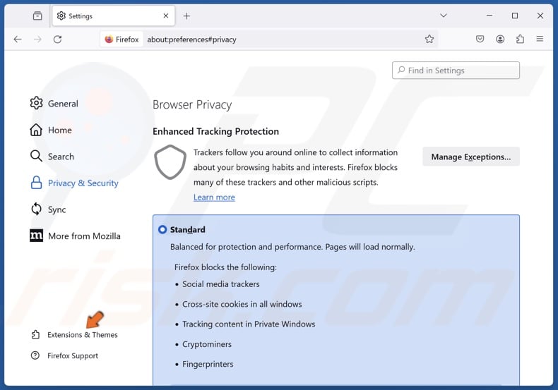 Click Extensions & Themes