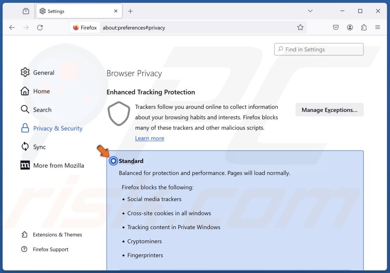 Tick Standard in the Browser Privacy section