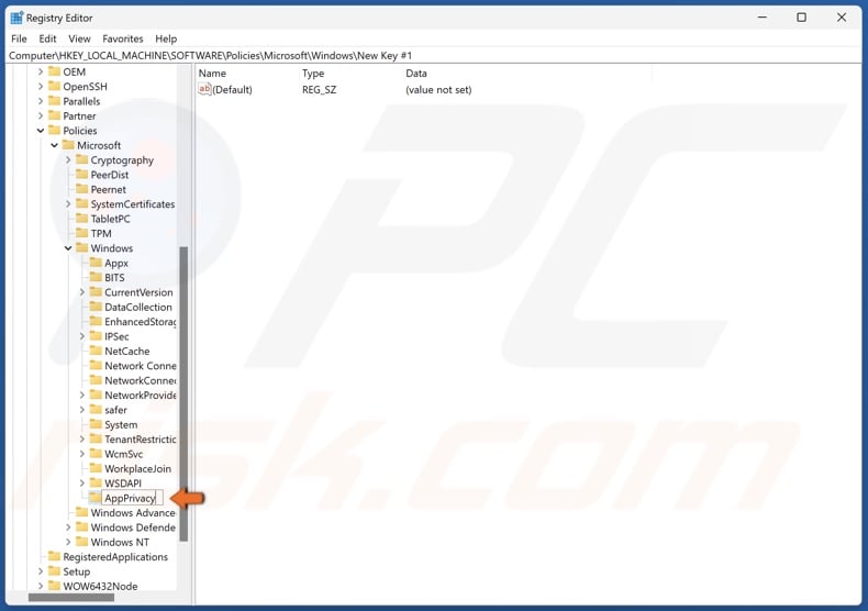 Name the key AppPrivacy and save it