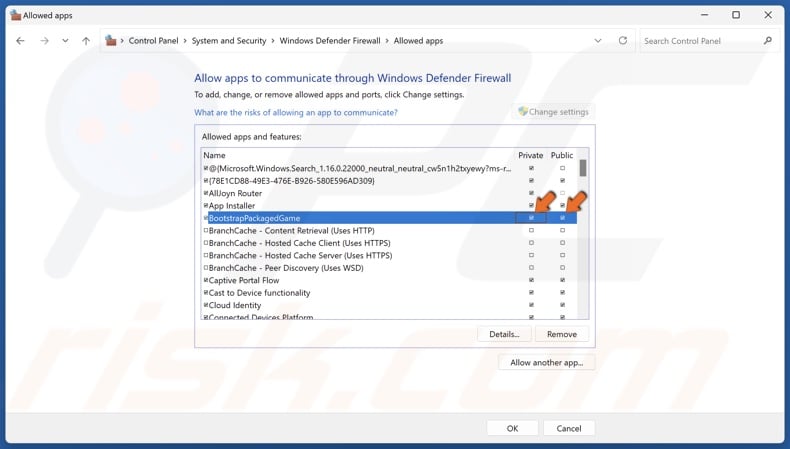 Mark the checkboxes in the Private and Public columns next to BootstrapPackagedGame