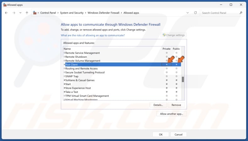 Private and Public columns next to Riot Client